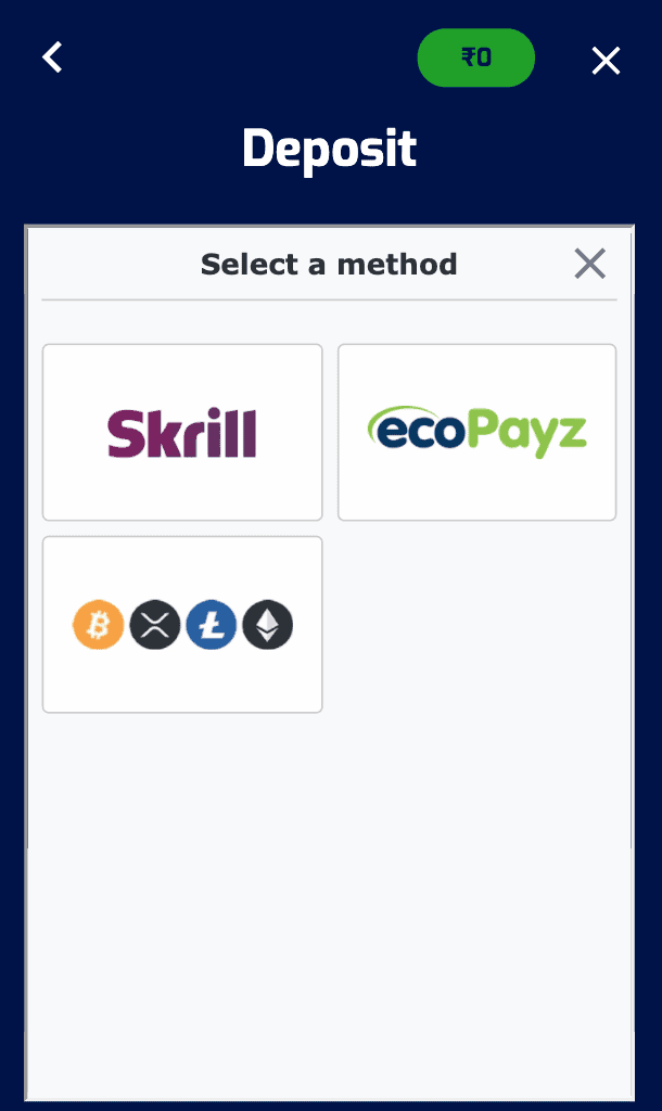 Screenshot of where you choose the payment method
